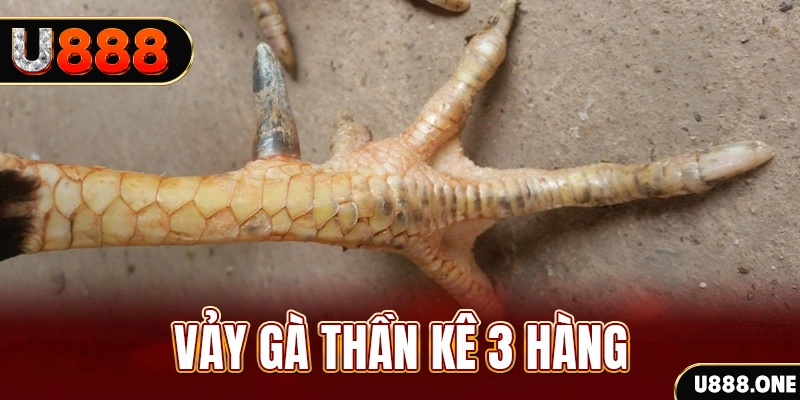 vaobong nổ hũ đổi thưởng . ai