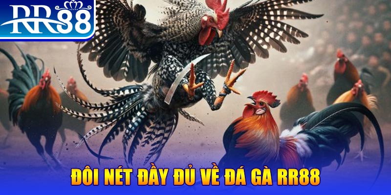 vaobong 1 slot là gì