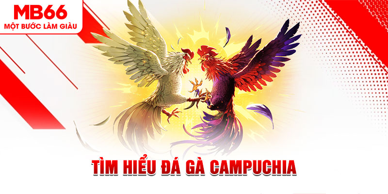 vaobong tại sao không tải được nổ hũ