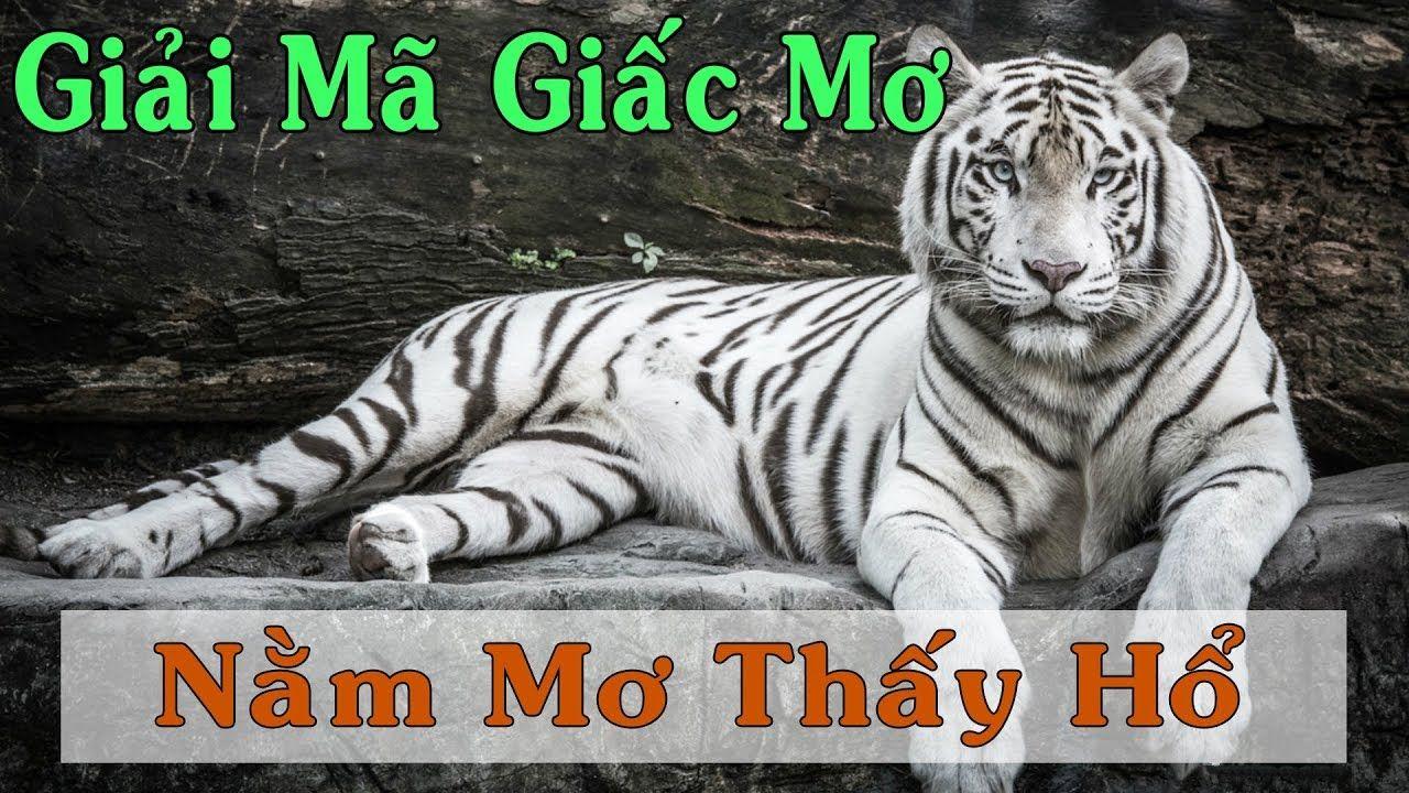 vaobong xổ số miền trung