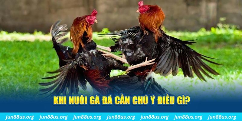 vaobong ban ca vip online