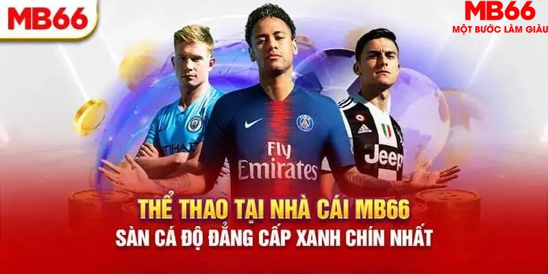 vaobong HB Điện Tử