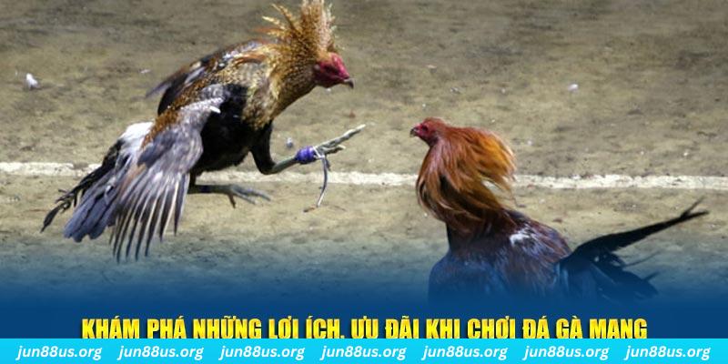 vaobong Tài Xỉu 2
