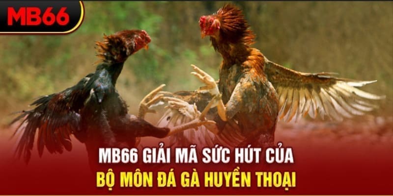 vaobong long bảo trong baccarat là gì