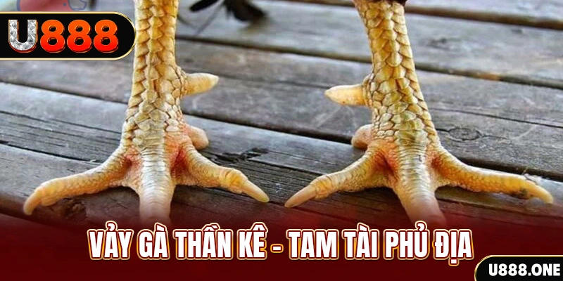 vaobong xổ số 30 ngày