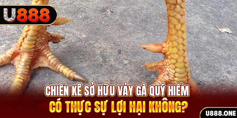 vaobong game cá cược máy bay