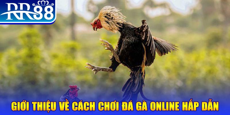 vaobong nổ hũ 2 mặt là gì