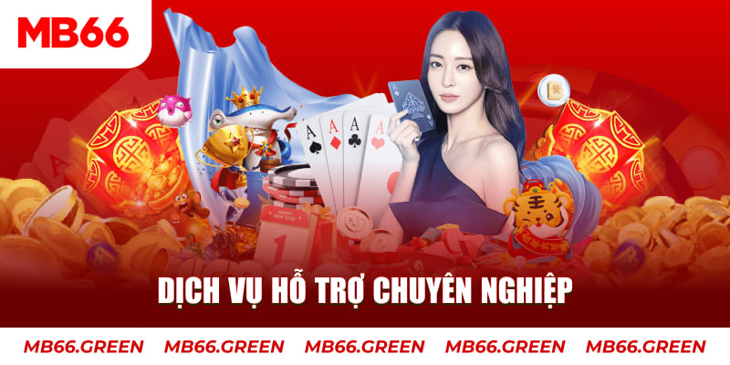 vaobong gà chọi cậu thanh
