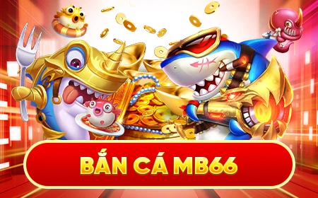 vaobong Cỡ bảy