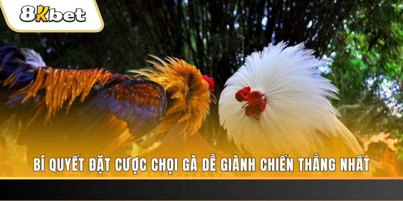 vaobong may club nổ hũ