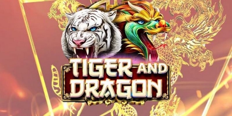vaobong cá cược tiếng anh là gì