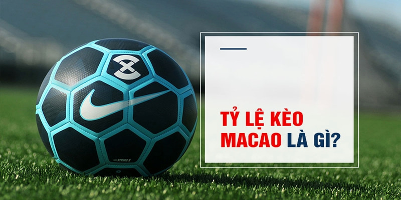 vaobong Trăm Knorr