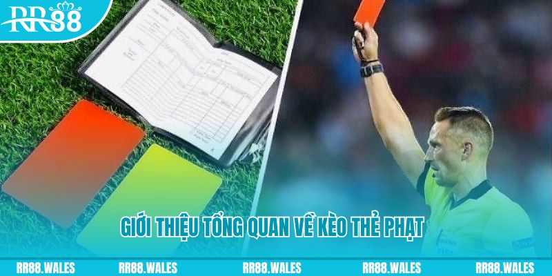 vaobong đá gà trực tiếp c1